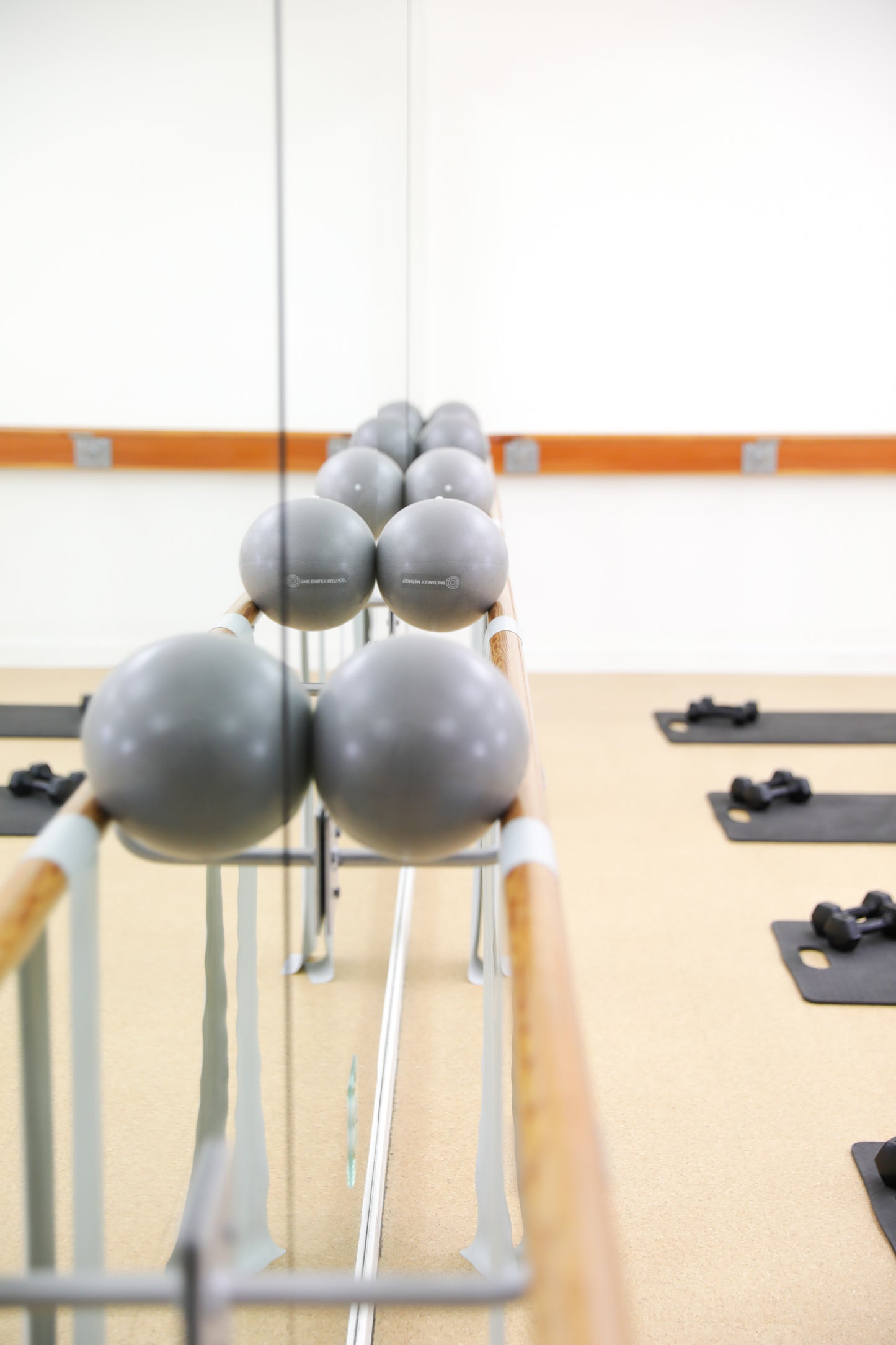 Branded Exercise Ball
