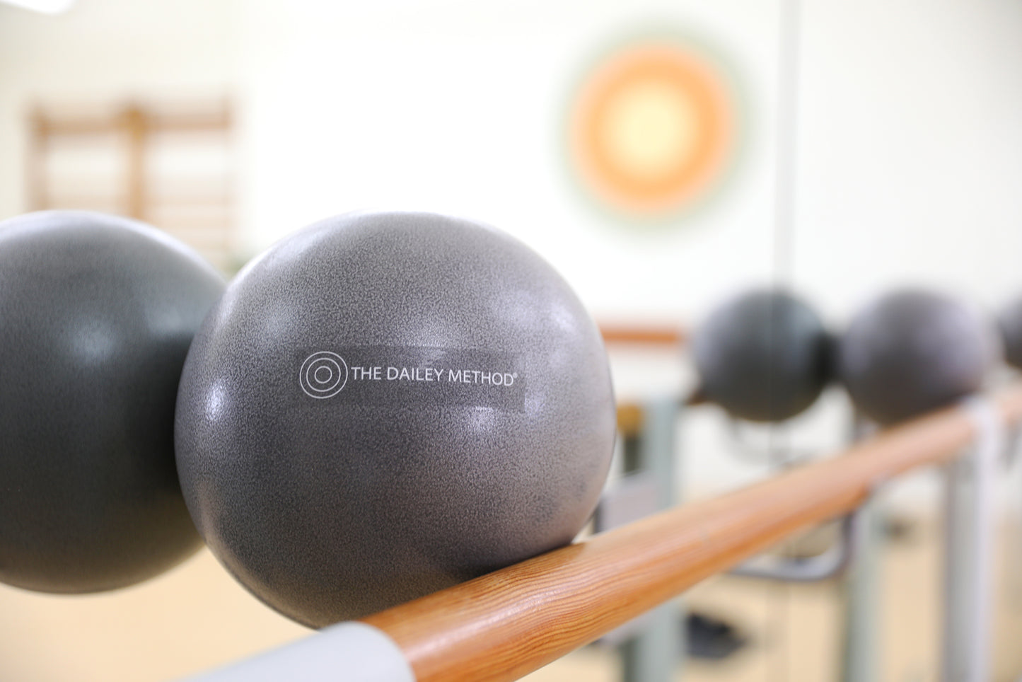 Branded Exercise Ball